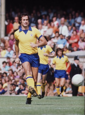 wp-1441444072760 image